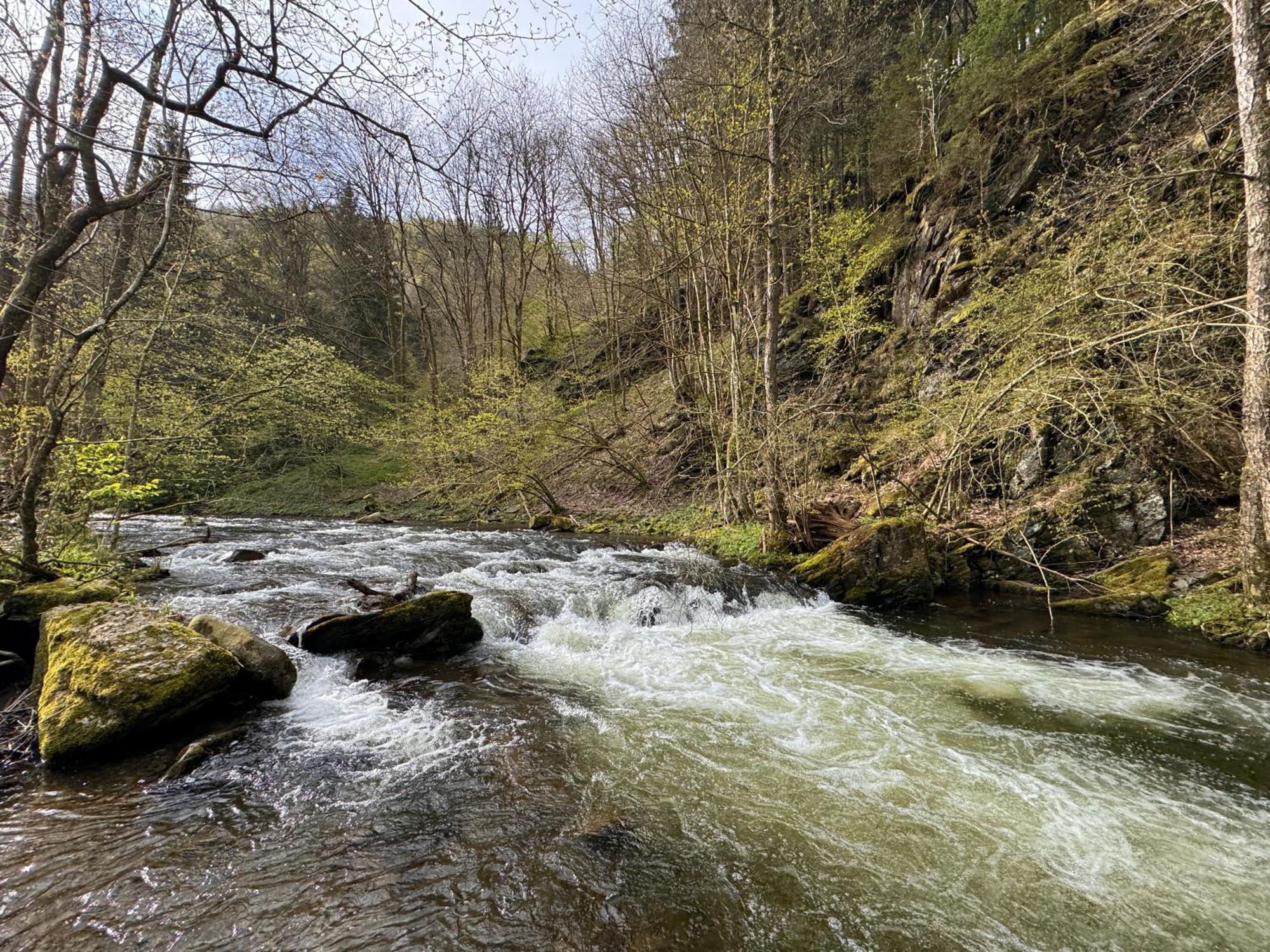 Le Dragon - Gite Accueillant Malmedy Zewnętrze zdjęcie